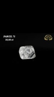 MAY 2025 TENDER PREVIEW