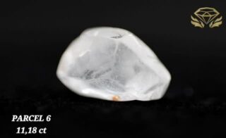 MAY 2025 TENDER PREVIEW