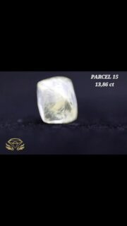 MAY 2025 TENDER PREVIEW