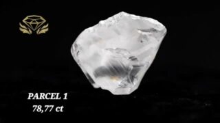 MAY 2025 TENDER PREVIEW